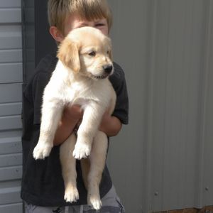 Meet your Posher, Jace john